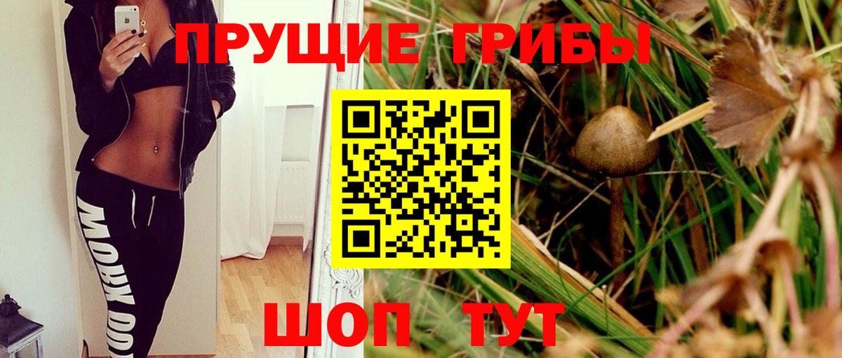 Псилоцибиновые грибы GOLDEN TEACHER  Вход с VPN  Белорецк 